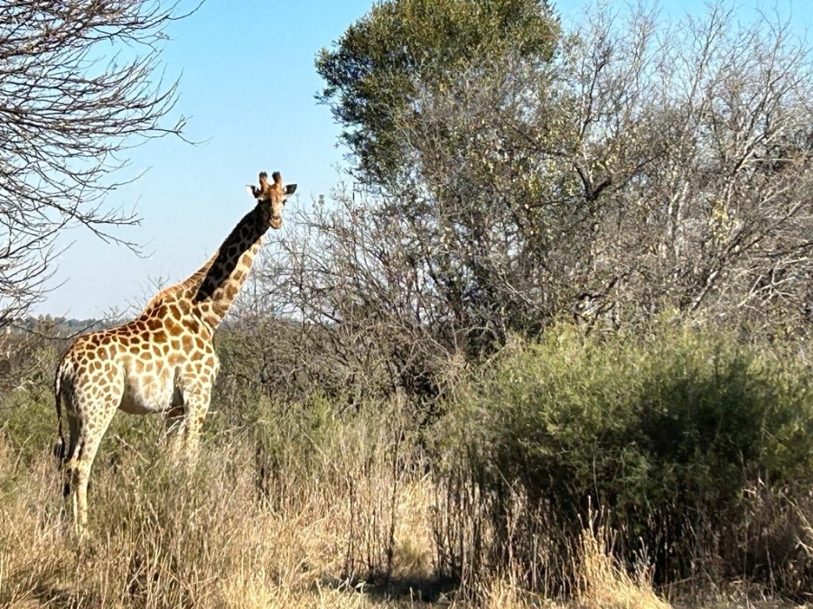 0 Bedroom Property for Sale in Potchefstroom Rural North West